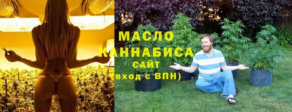 mix Богородицк